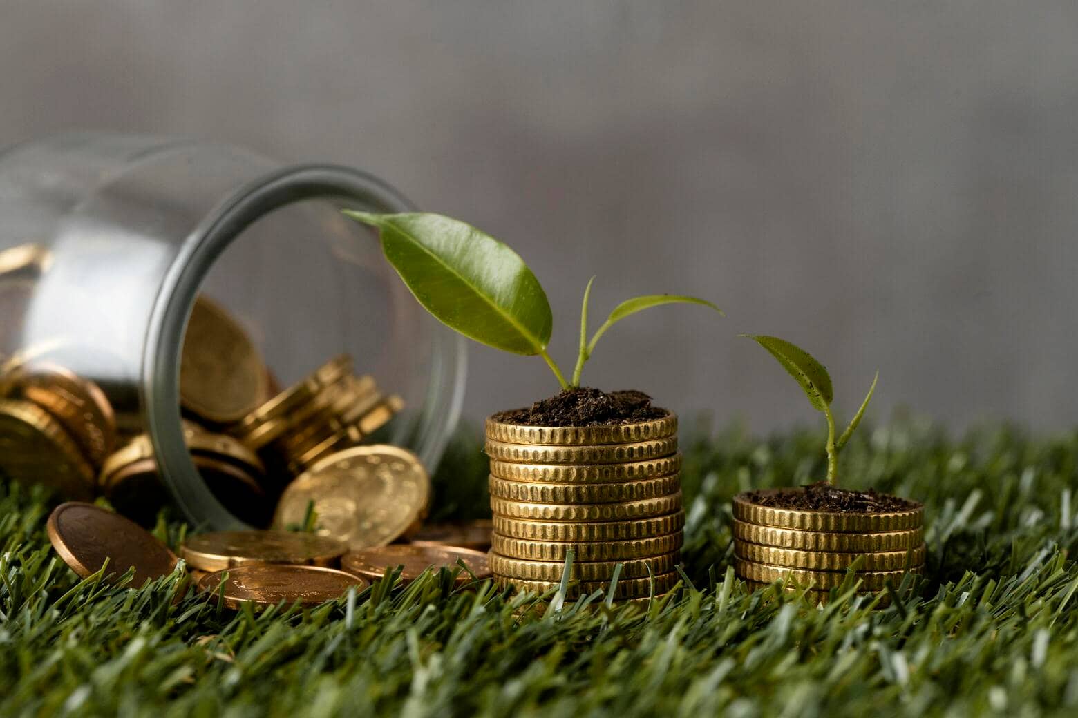 Private Equity Firms & Impact Investors