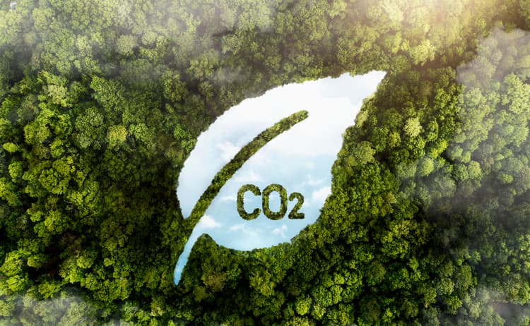 Carbon footprint and emissions assessment