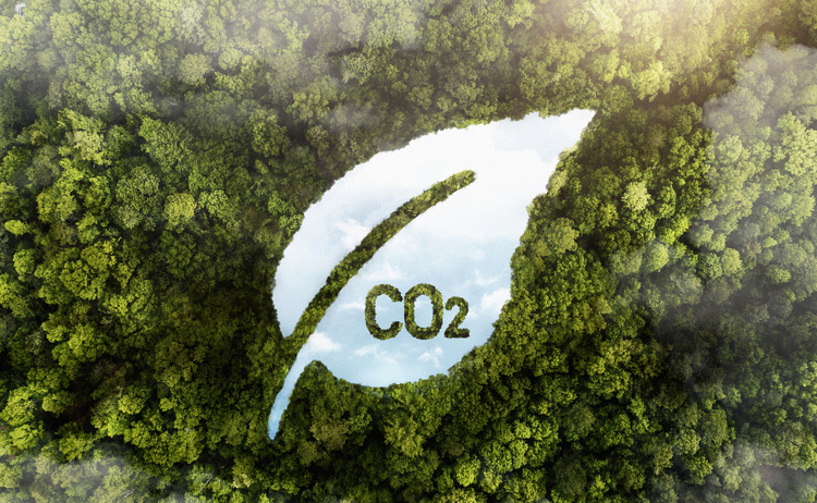 Carbon Footprint Assessment & Measurement